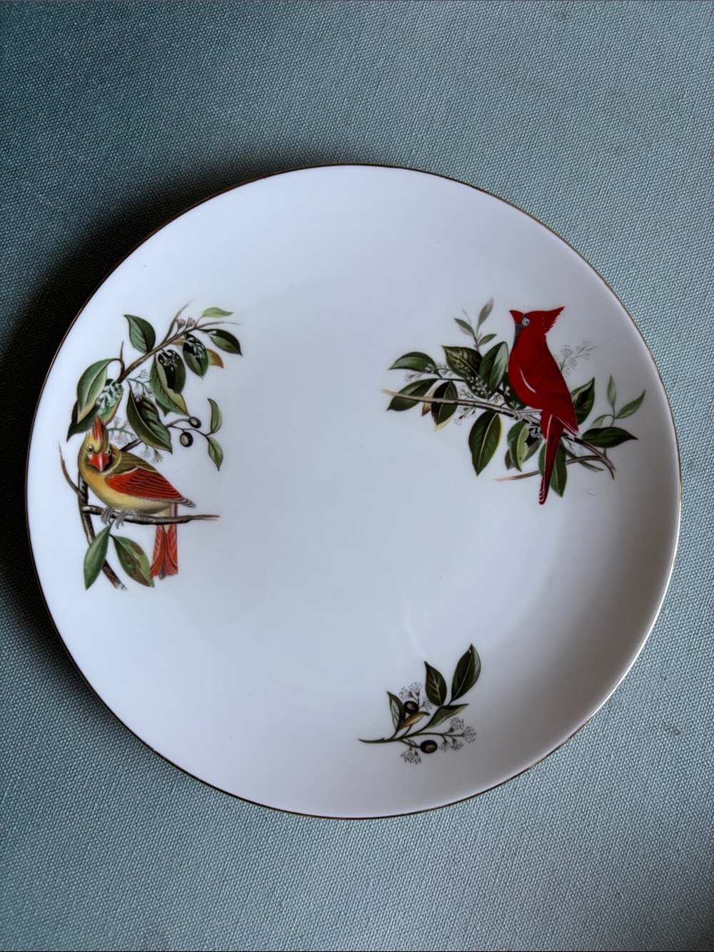 Royal Chelsea Vintage Audubon Birds Cardinal Plate 8”